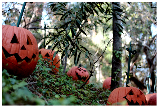 pumpkins outside the haunted mansion