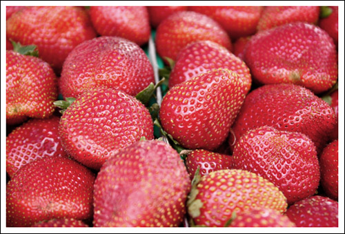 very red strawberries